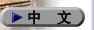 中文