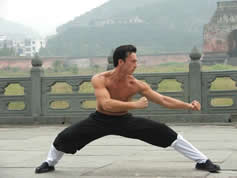 wudang kungfu