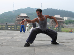 wudang kungfu