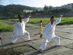 wudang kungfu