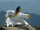 Kungfu Master