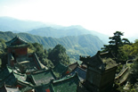 Wudang Golden Top