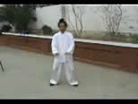 Tai Yi Qigong