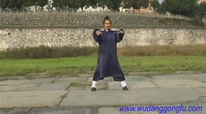 wudang kungfu